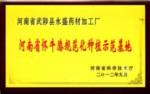 資質(zhì)證書(shū)